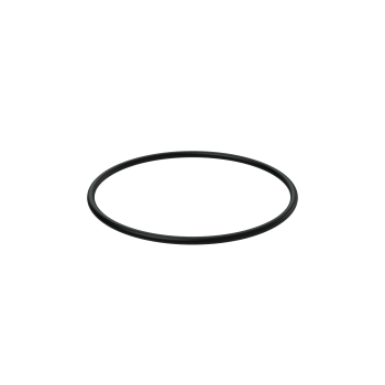 O-Ring 925256